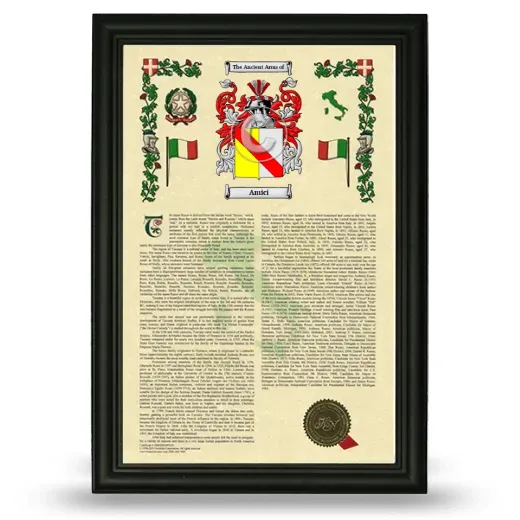 Amici Armorial History Framed - Black