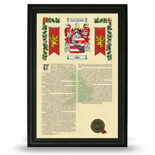 Amir Armorial History Framed - Black