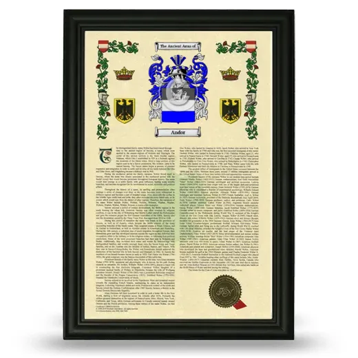 Andor Armorial History Framed - Black