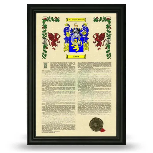 Avans Armorial History Framed - Black