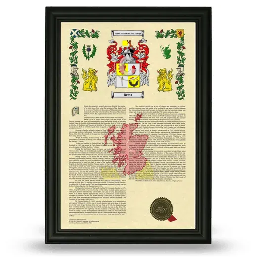Beins Armorial History Framed - Black