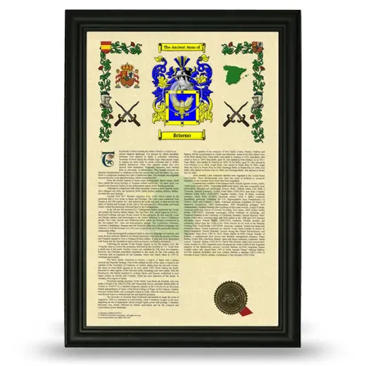 Briseno Armorial History Framed - Black