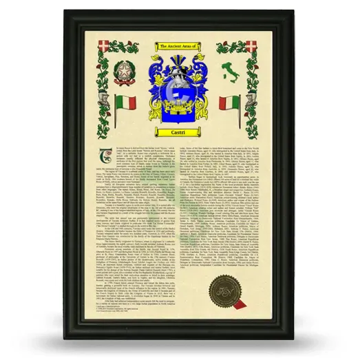 Castri Armorial History Framed - Black
