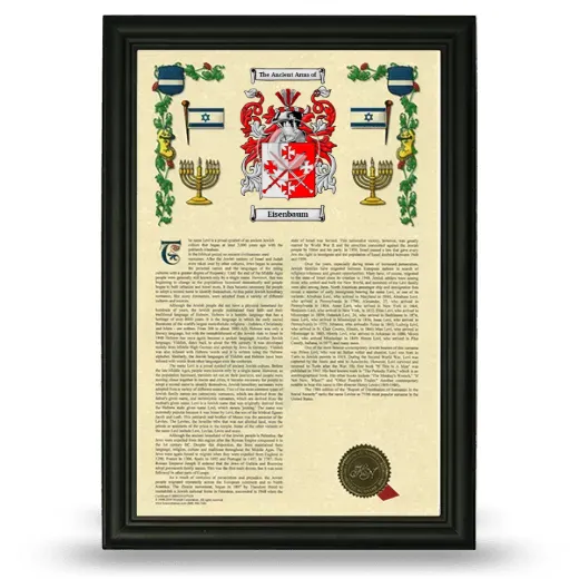 Eisenbaum Armorial History Framed - Black