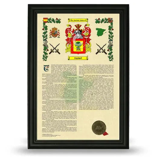 Espinel Armorial History Framed - Black