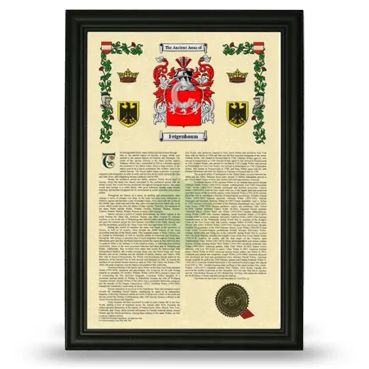 Feigenbaum Armorial History Framed - Black