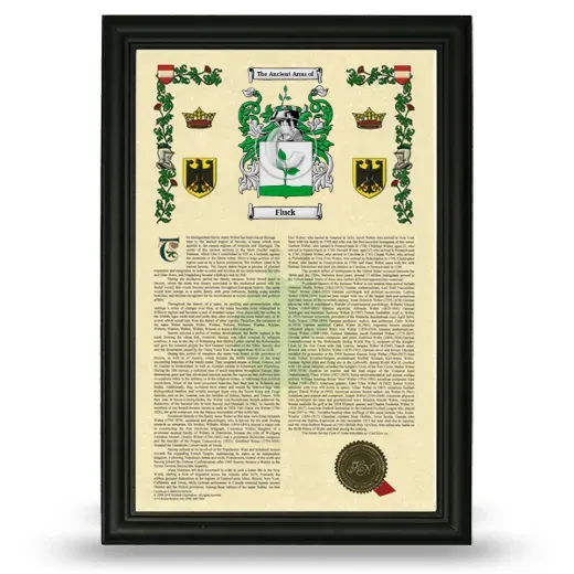 Fluck Armorial History Framed - Black