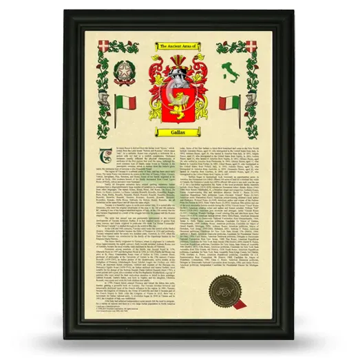 Gallas Armorial History Framed - Black