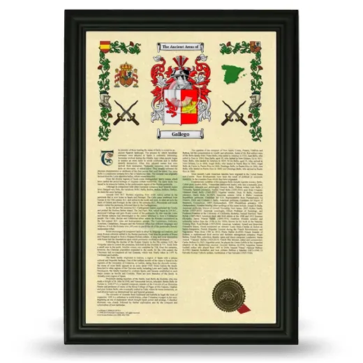 Gallego Armorial History Framed - Black