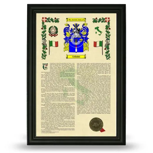 Gelmini Armorial History Framed - Black
