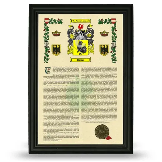 Haann Armorial History Framed - Black