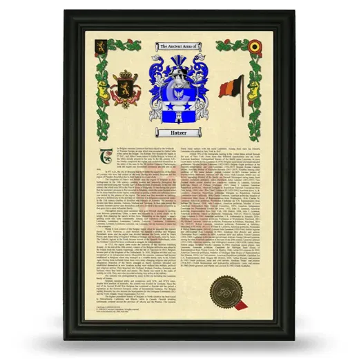 Hatzer Armorial History Framed - Black