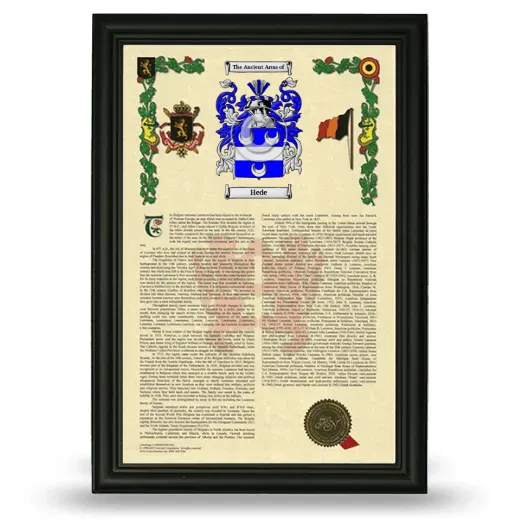 Hede Armorial History Framed - Black
