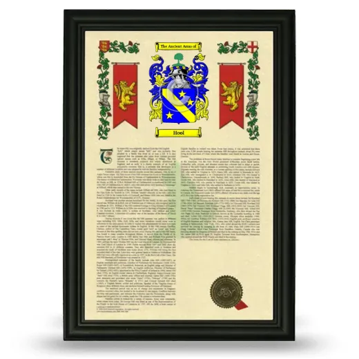 Hool Armorial History Framed - Black