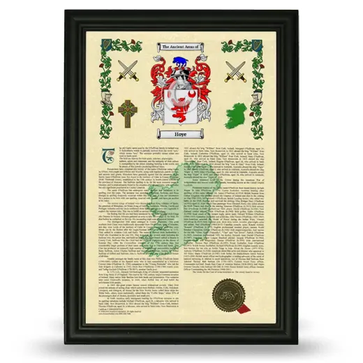 Hoye Armorial History Framed - Black