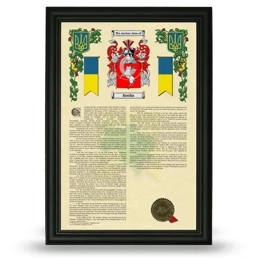 Kostka Armorial History Framed - Black