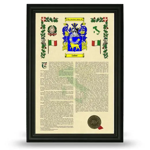 Lobue Armorial History Framed - Black
