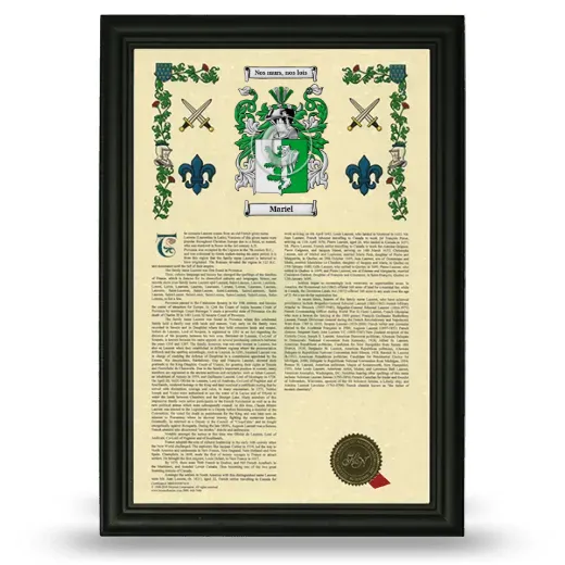 Mariel Armorial History Framed - Black