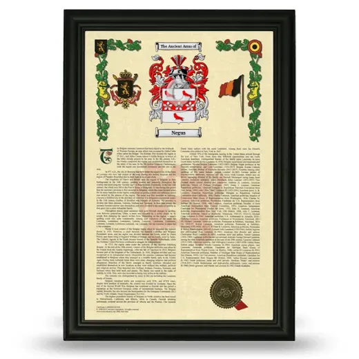 Negus Armorial History Framed - Black