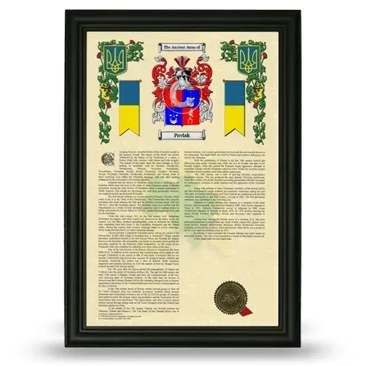 Pavlak Armorial History Framed - Black