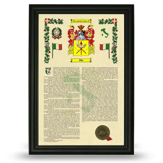 Pilo Armorial History Framed - Black