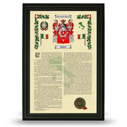 Pineiro Armorial History Framed - Black