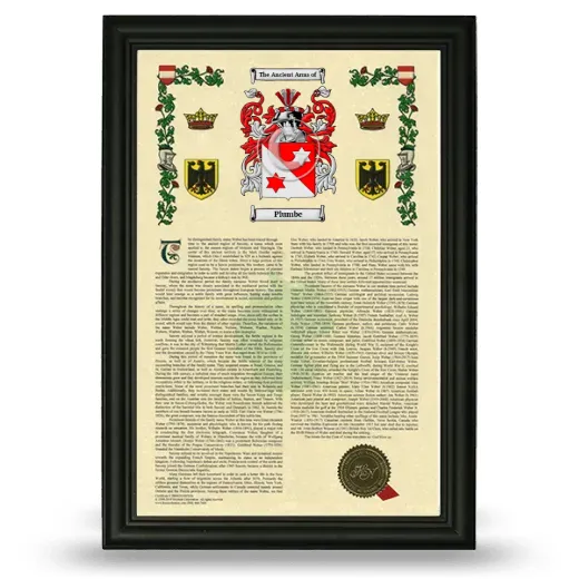 Plumbe Armorial History Framed - Black