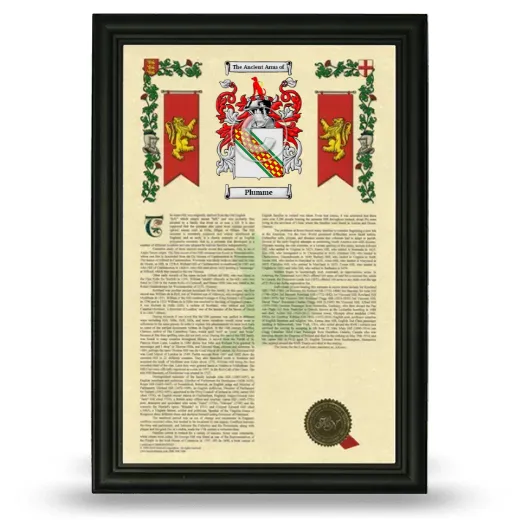 Plumme Armorial History Framed - Black