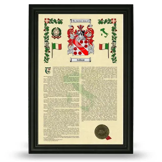 Soltani Armorial History Framed - Black
