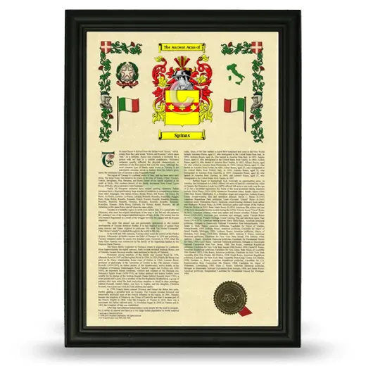 Spinas Armorial History Framed - Black