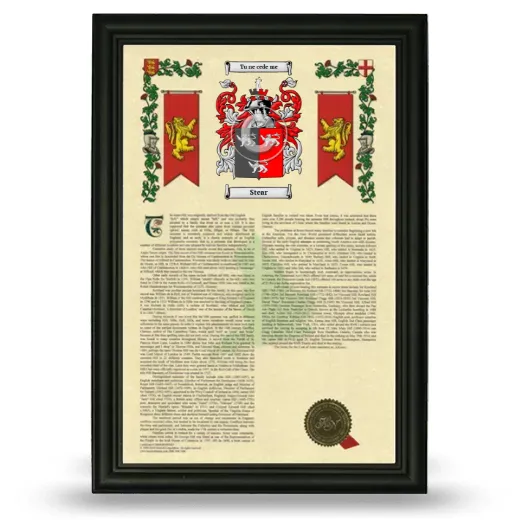 Stear Armorial History Framed - Black