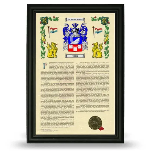 Teem Armorial History Framed - Black