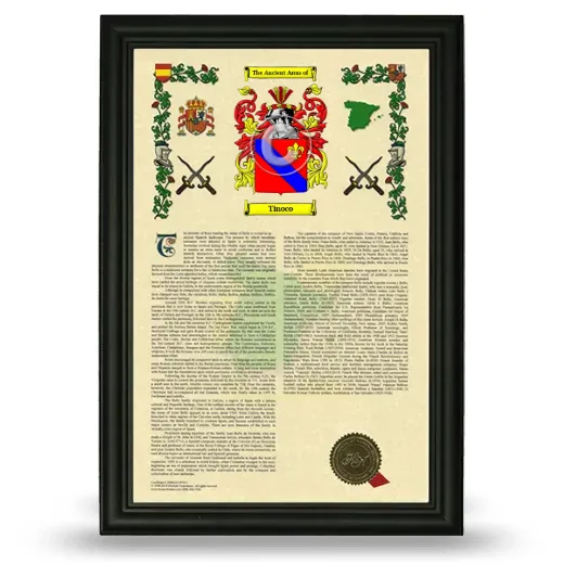 Tinoco Armorial History Framed - Black