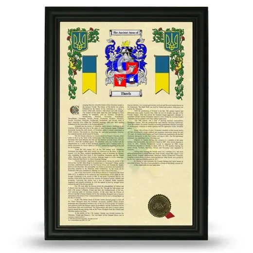Tkach Armorial History Framed - Black