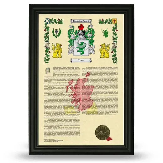 Towe Armorial History Framed - Black