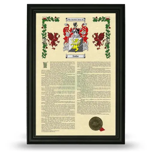 Trefor Armorial History Framed - Black
