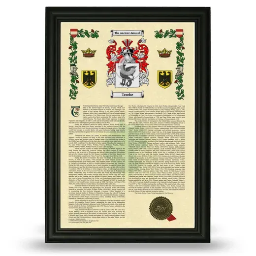 Troche Armorial History Framed - Black