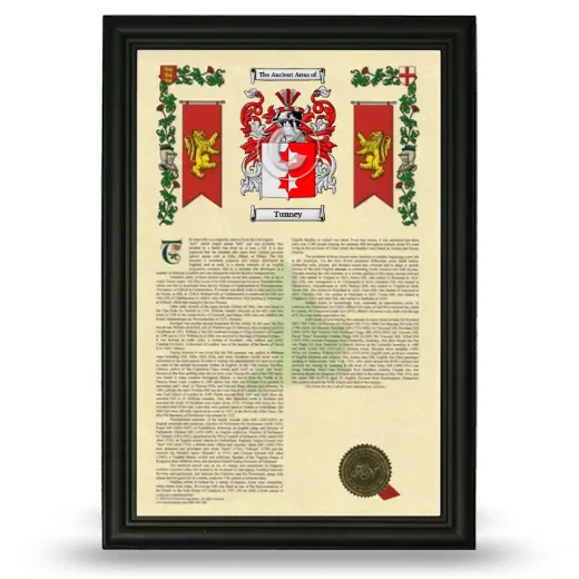 Tunney Armorial History Framed - Black
