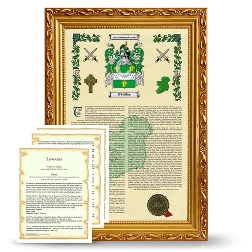 O'Coffey Framed Armorial History and Symbolism - Gold