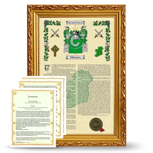O'Hennessy Framed Armorial History and Symbolism - Gold