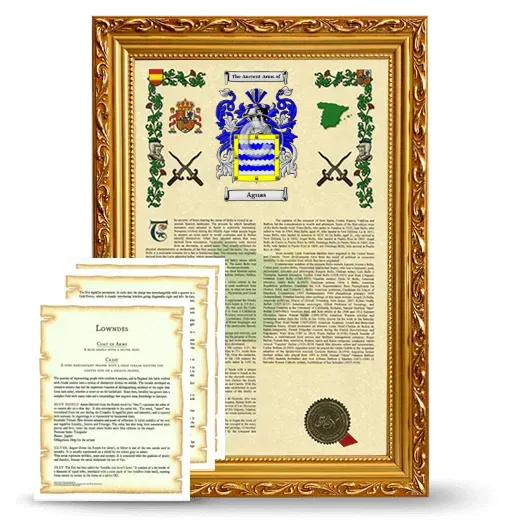 Aguas Framed Armorial History and Symbolism - Gold