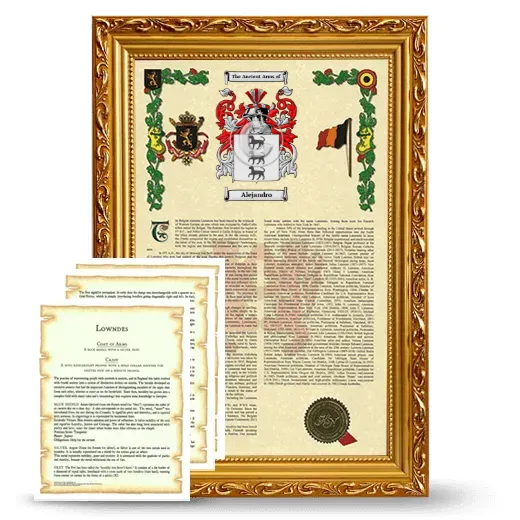 Alejandro Framed Armorial History and Symbolism - Gold