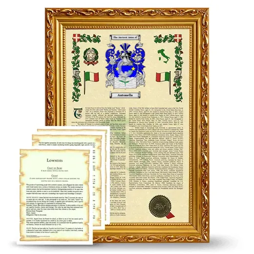 Antonella Framed Armorial History and Symbolism - Gold