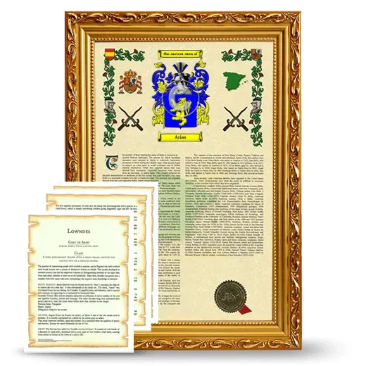 Arias Framed Armorial History and Symbolism - Gold