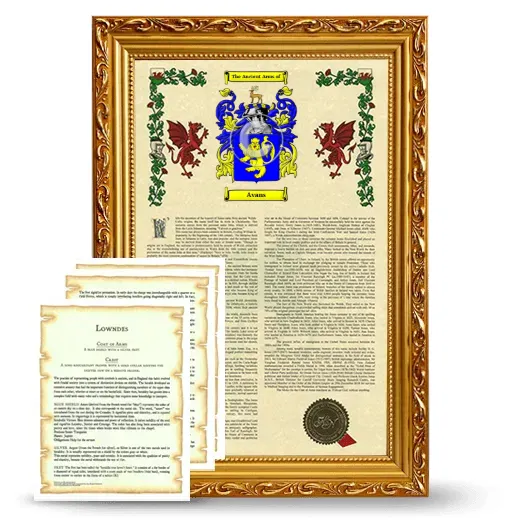 Avans Framed Armorial History and Symbolism - Gold
