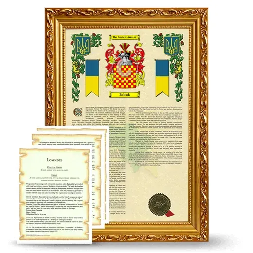 Babiak Framed Armorial History and Symbolism - Gold