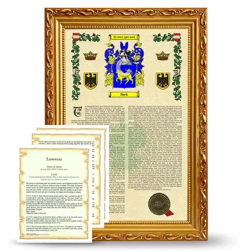 Back Framed Armorial History and Symbolism - Gold
