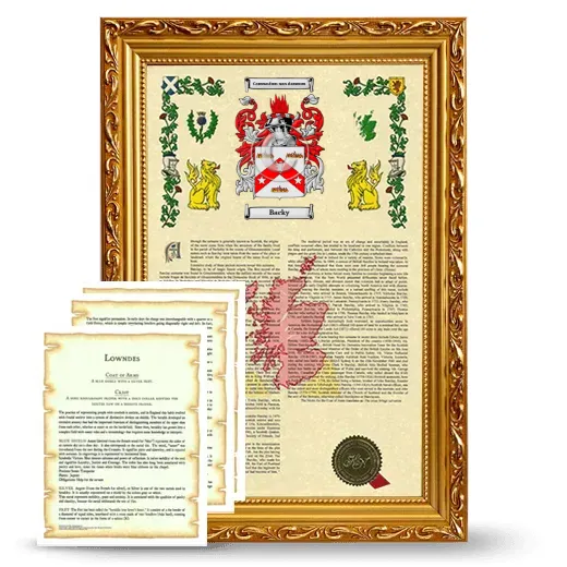 Backy Framed Armorial History and Symbolism - Gold