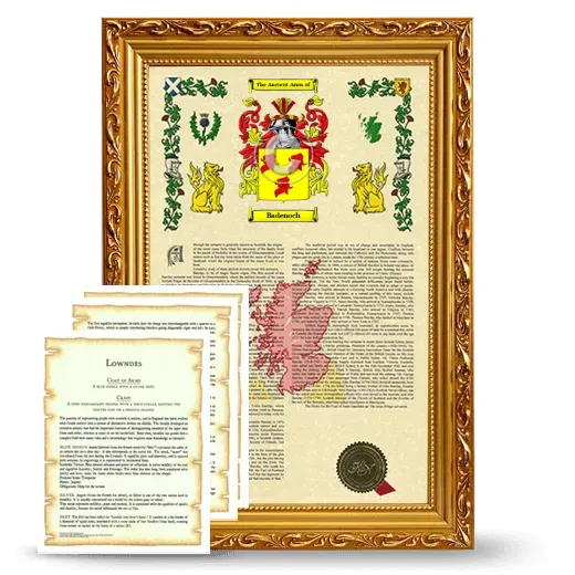 Badenoch Framed Armorial History and Symbolism - Gold