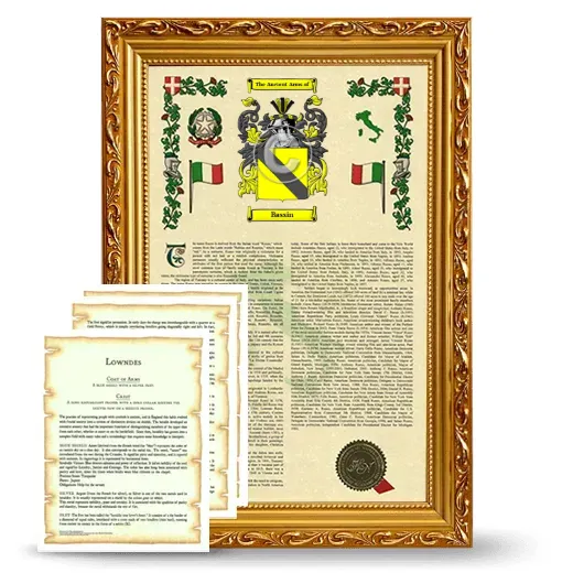 Bassin Framed Armorial History and Symbolism - Gold